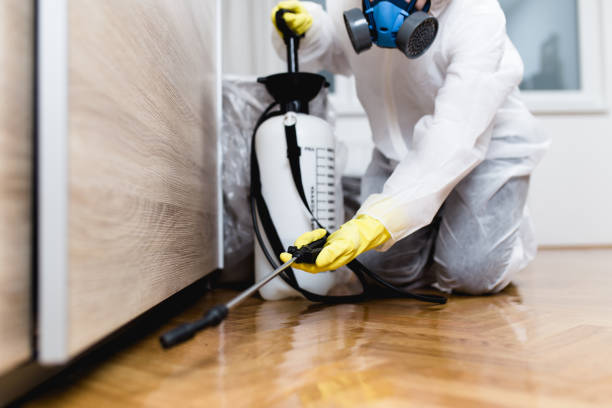 Best Pest Prevention Services  in Pendleton, SC